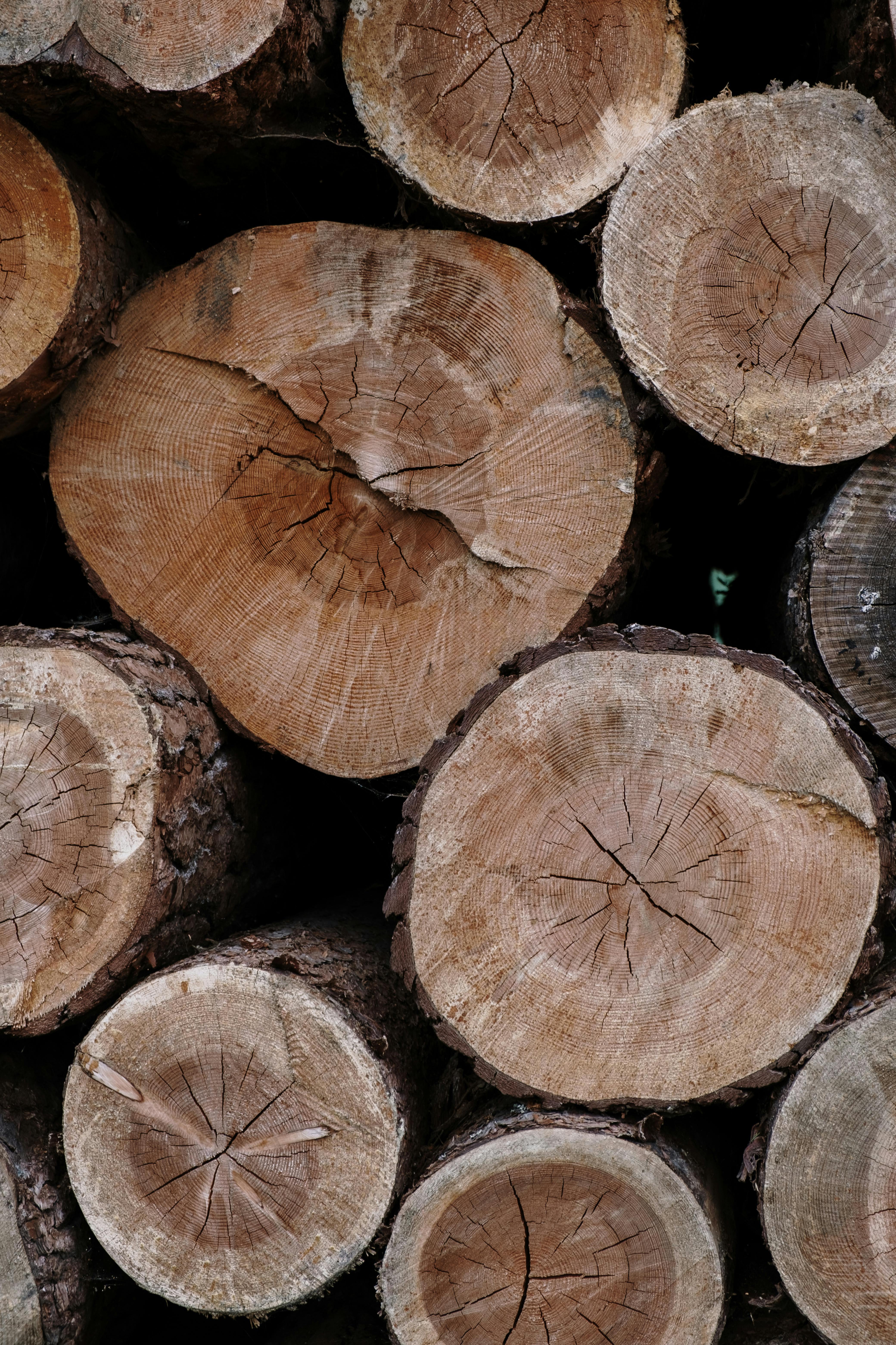 Wooden Logs