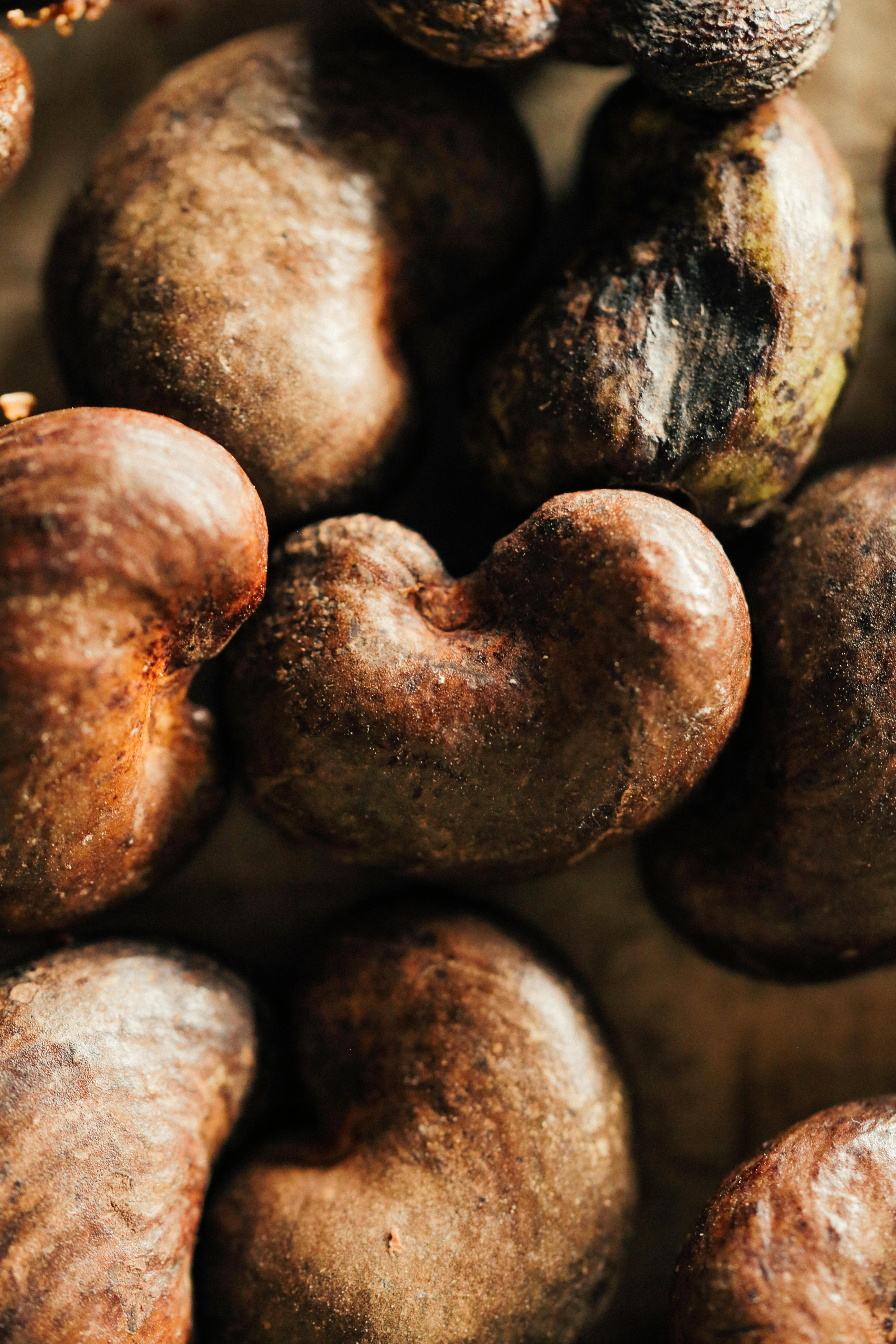 Raw Cashew