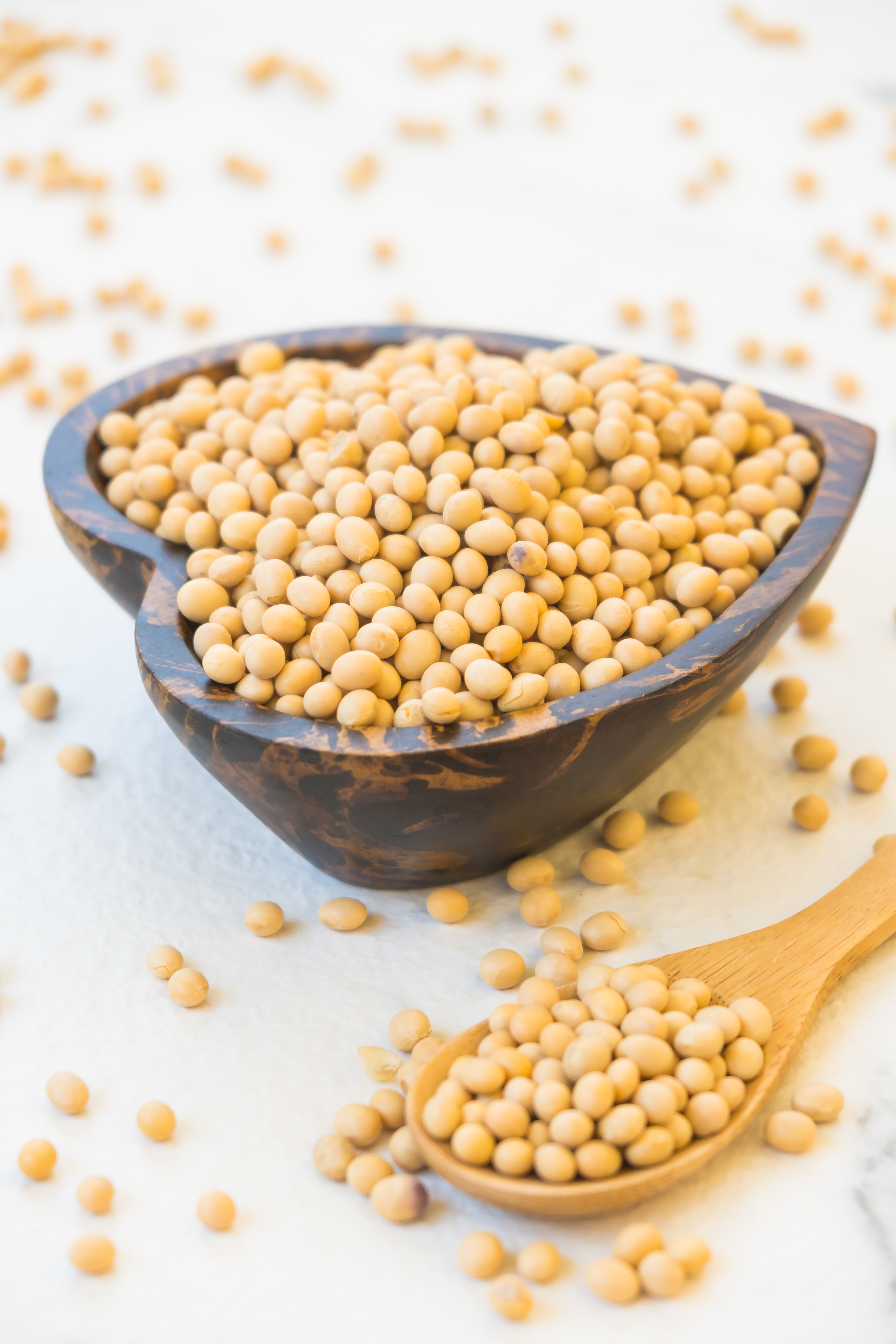 Soybean